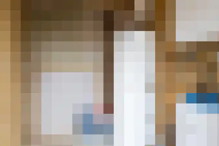 Ambachtstraat 8 a Didam thumbnail 41