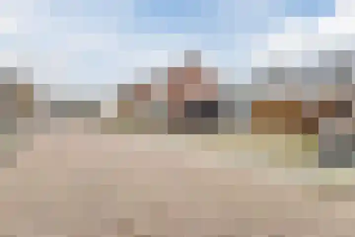 Ambachtstraat 8 a Didam thumbnail 43