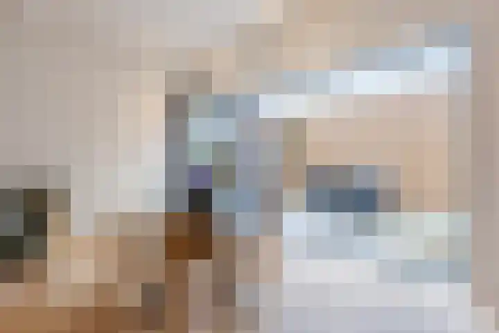 Ambachtstraat 8 a Didam thumbnail 6