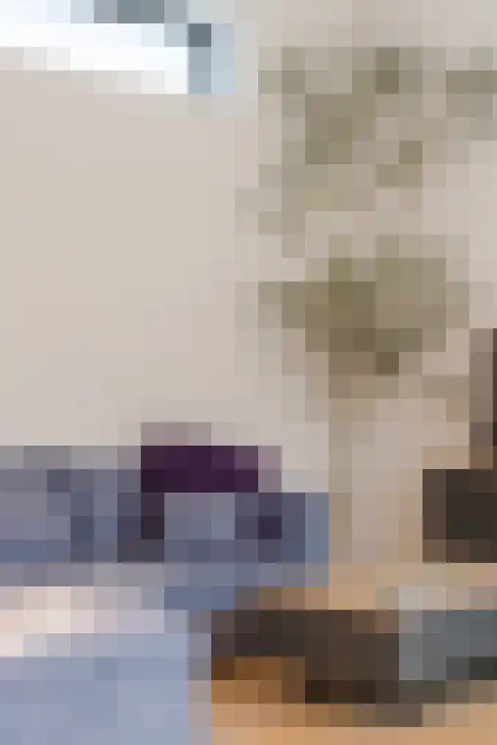 Ambachtstraat 8 a Didam thumbnail 9