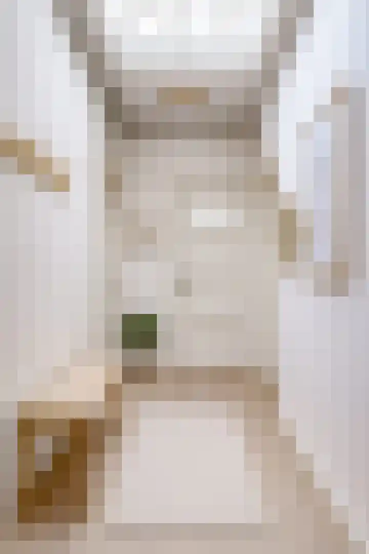 Ambachtstraat 8 Utrecht thumbnail 5