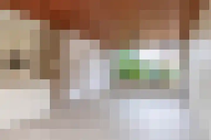 Ambachtstraat 9 Krimpen aan den IJssel thumbnail 14