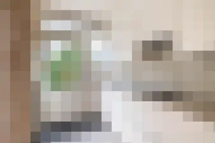 Ambachtstraat 9 Krimpen aan den IJssel thumbnail 18