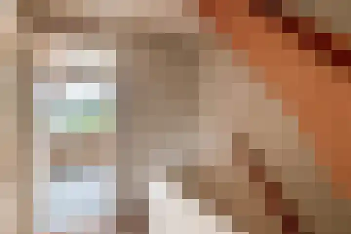 Ambachtstraat 9 Krimpen aan den IJssel thumbnail 21