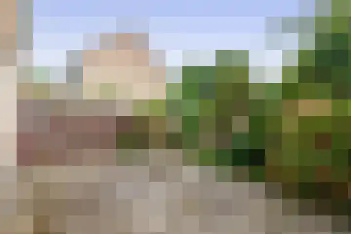 Ambachtstraat 9 Krimpen aan den IJssel thumbnail 33