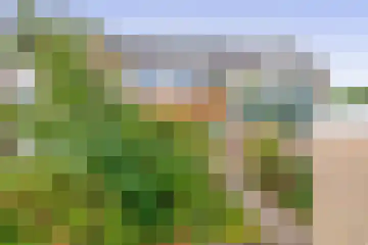 Ambachtstraat 9 Krimpen aan den IJssel thumbnail 35