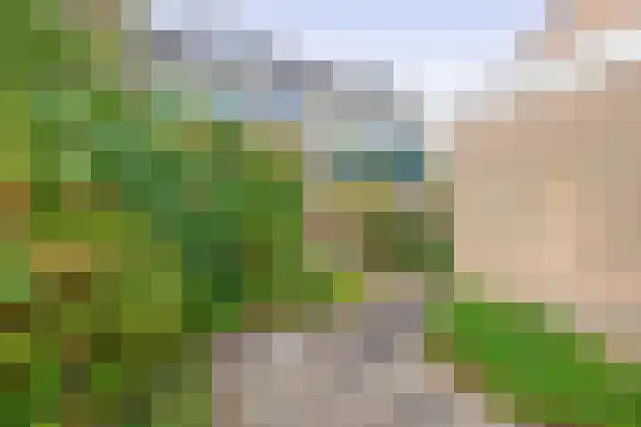 Ambachtstraat 9 Krimpen aan den IJssel thumbnail 36