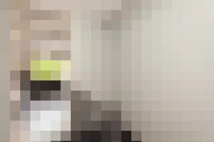 Ambachtsweer 1 Sliedrecht thumbnail 13