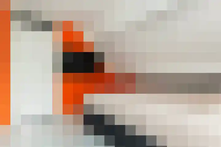 Ambachtsweer 1 Sliedrecht thumbnail 16