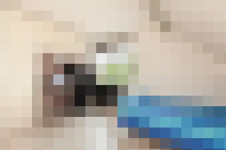 Ambachtsweer 1 Sliedrecht thumbnail 19