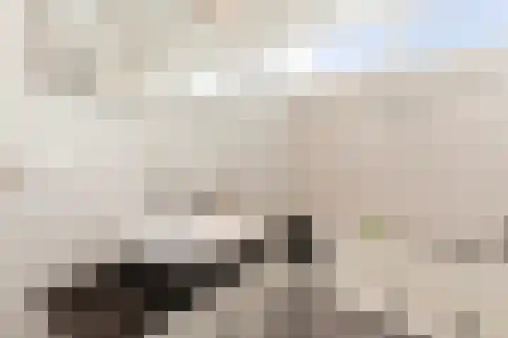 Ambachtsweer 1 Sliedrecht thumbnail 22