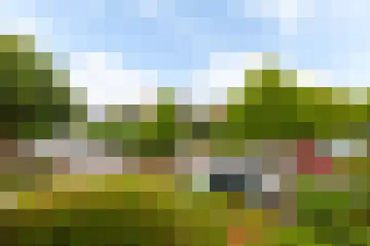 Ambachtsweer 1 Sliedrecht thumbnail 25