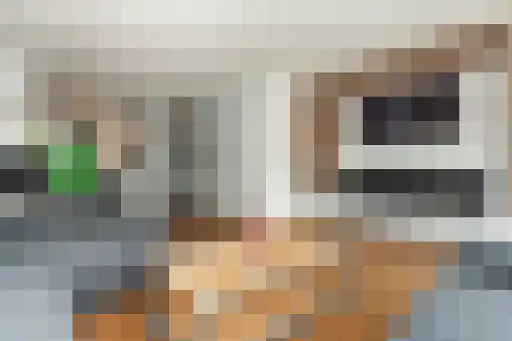 Ambachtsweer 1 Sliedrecht thumbnail 8