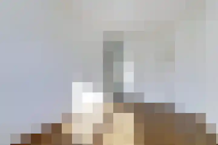 Ambachtsweer 10 Sliedrecht thumbnail 18