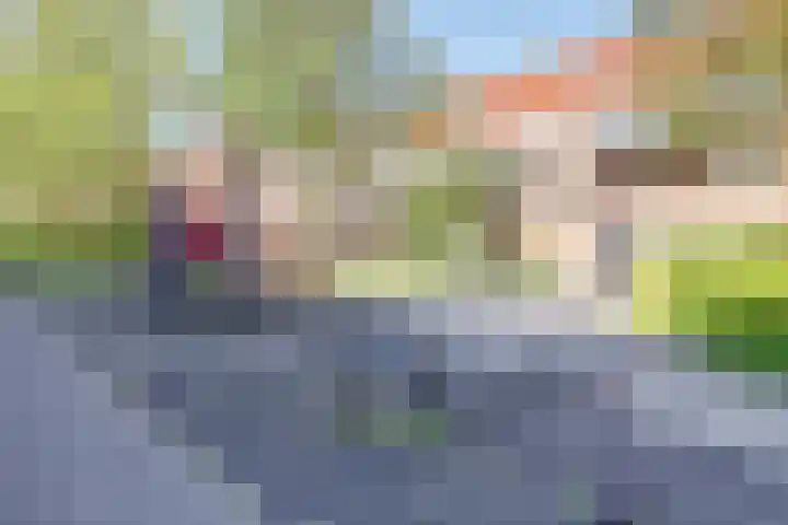 Ambachtsweer 10 Sliedrecht thumbnail 28