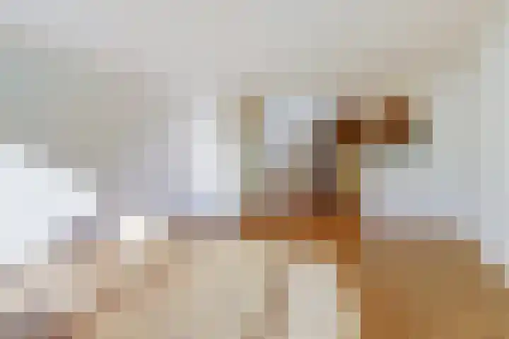 Ambachtsweer 10 Sliedrecht thumbnail 5
