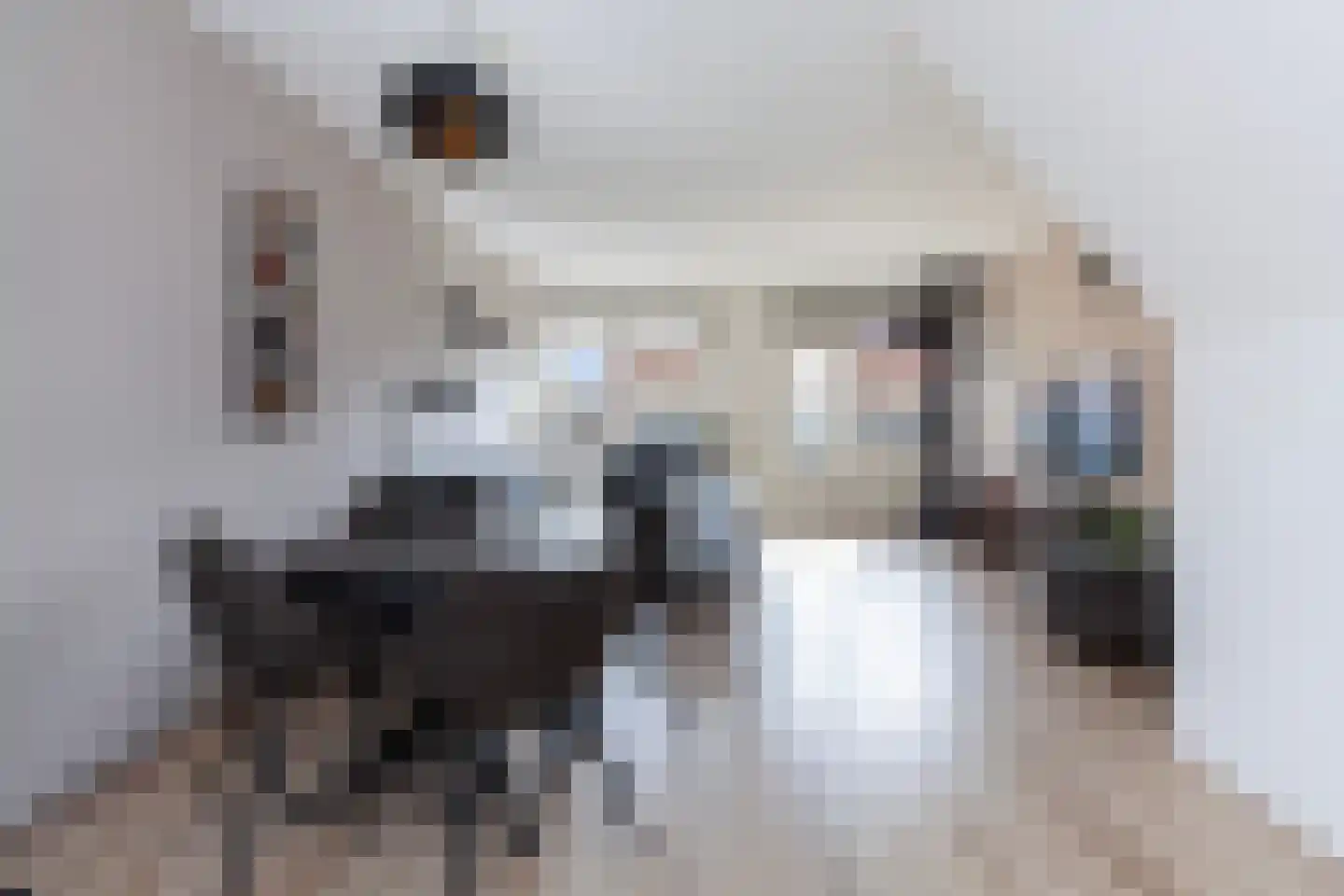 Ambachtsweer 28 Sliedrecht thumbnail 4