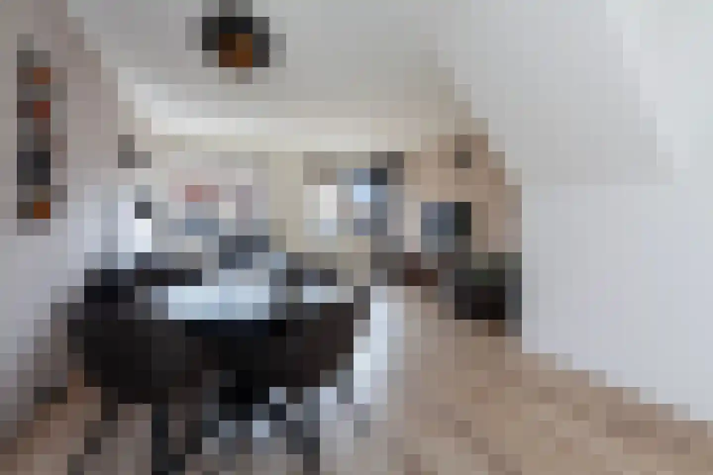 Ambachtsweer 28 Sliedrecht thumbnail 6