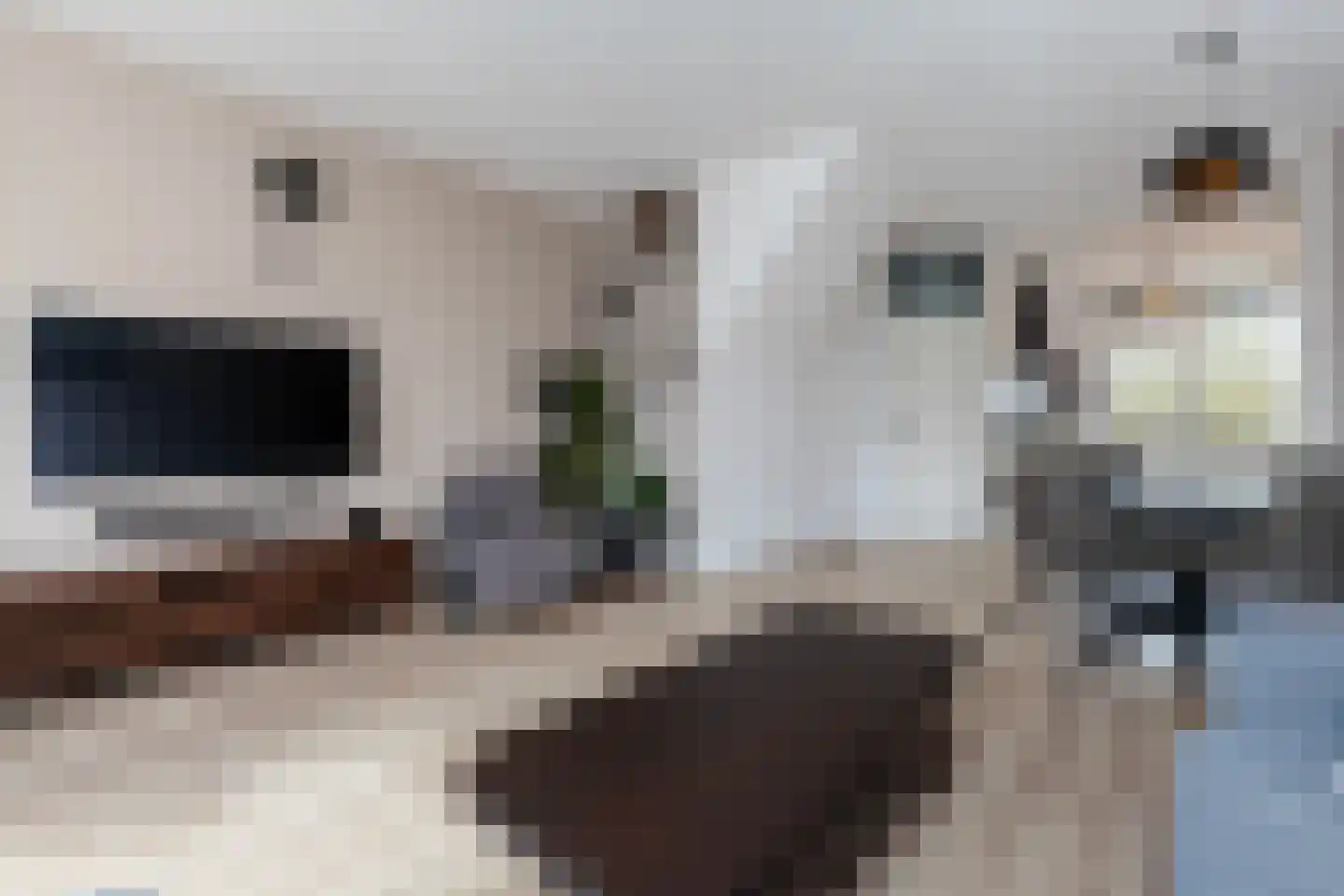 Ambachtsweer 28 Sliedrecht thumbnail 8