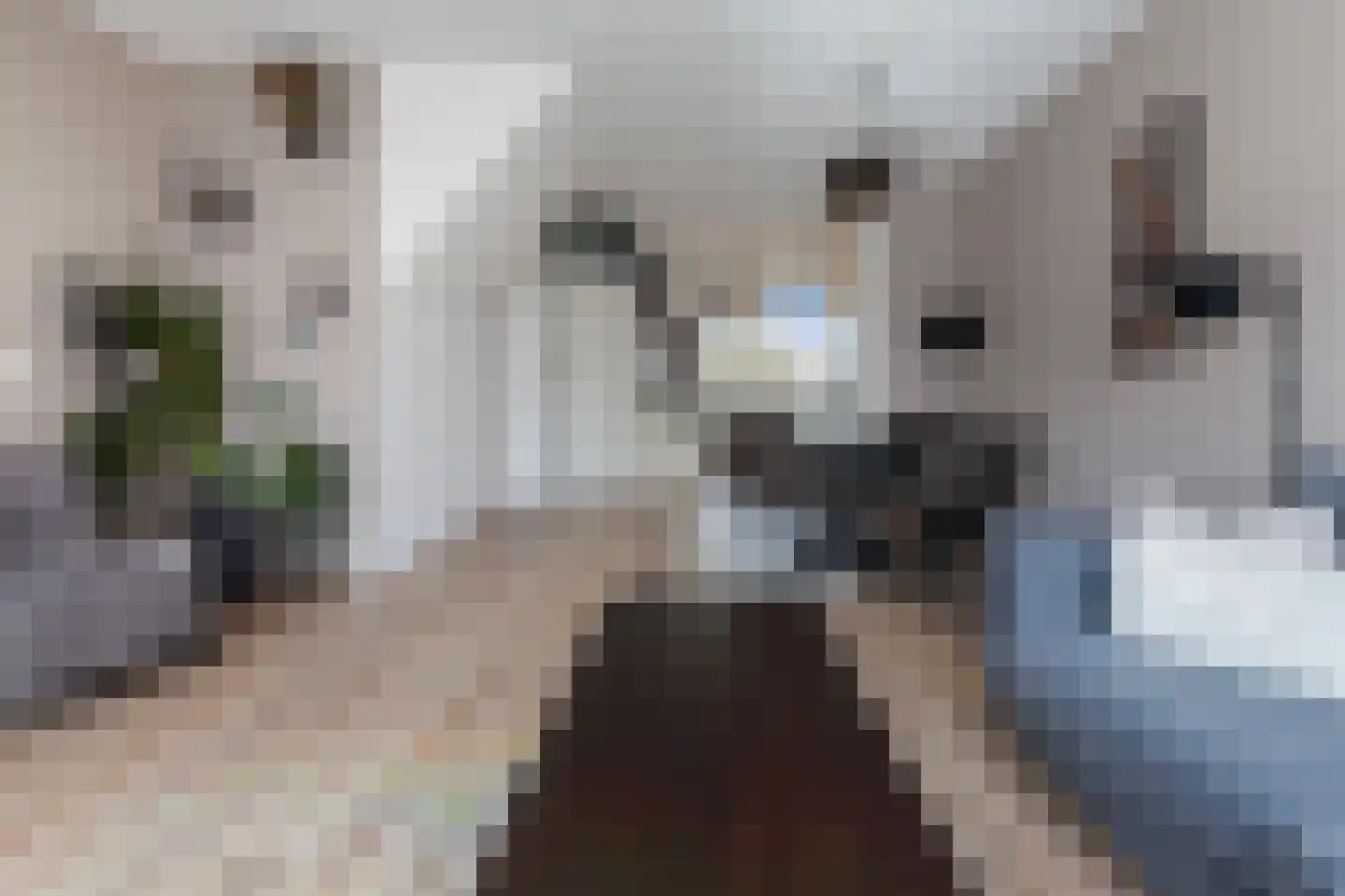 Ambachtsweer 28 Sliedrecht thumbnail 9