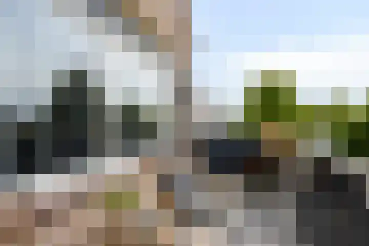 Ambachtsweer 30 Sliedrecht thumbnail 10