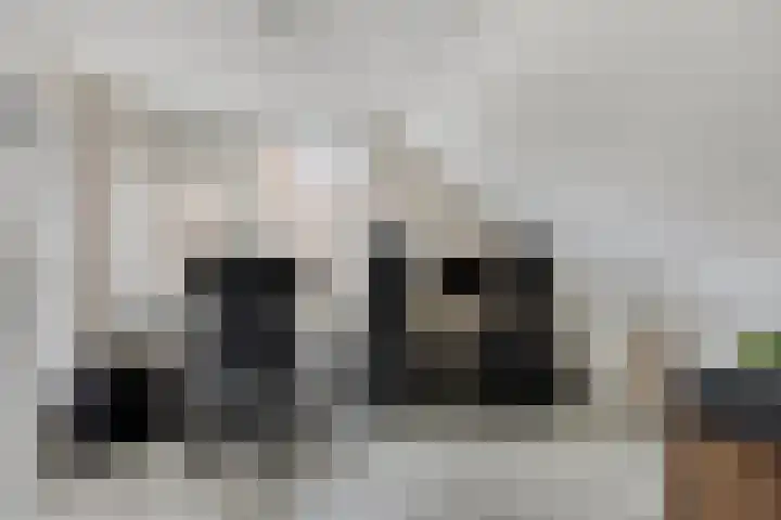 Ambachtsweer 30 Sliedrecht thumbnail 15