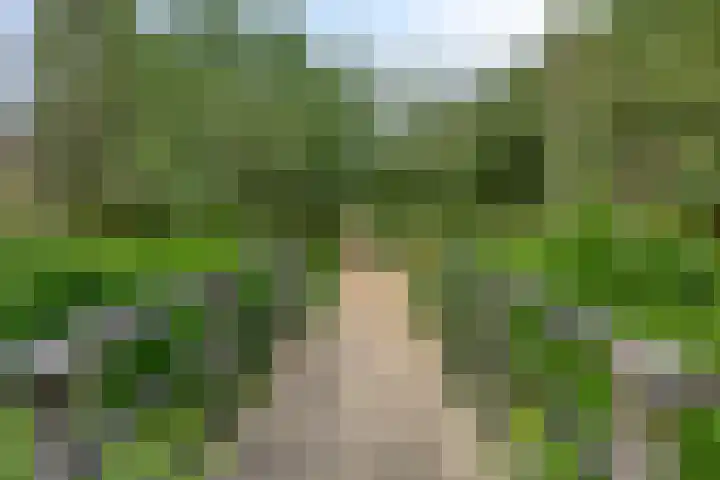 Ambachtsweer 30 Sliedrecht thumbnail 31
