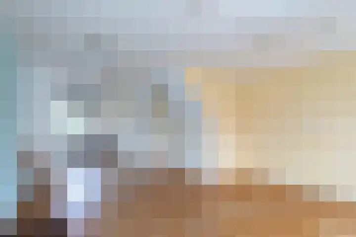 Ambachtsweer 75 Sliedrecht thumbnail 8