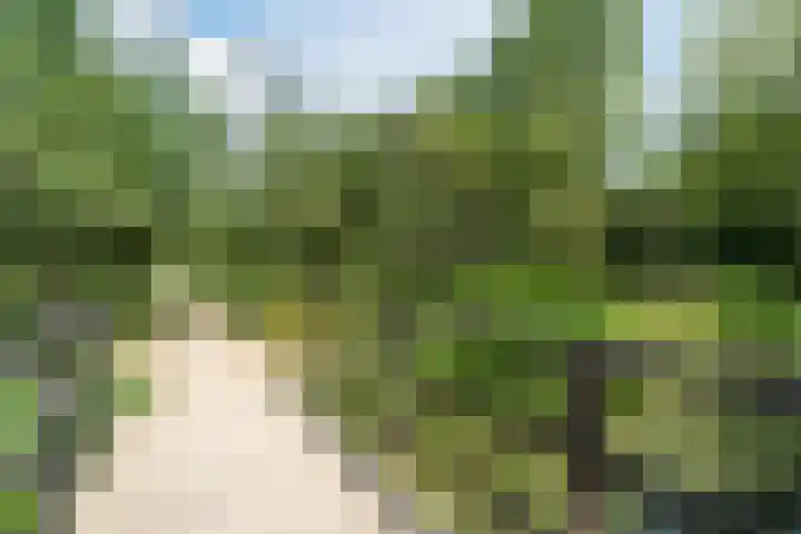Ambachtsweer 83 Sliedrecht thumbnail 29