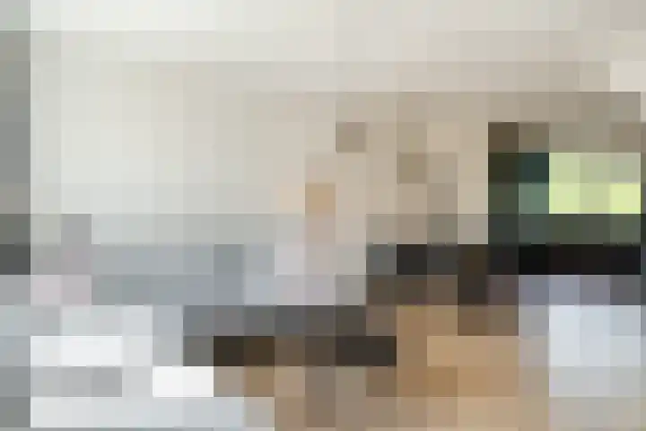 Ambachtsweer 83 Sliedrecht thumbnail 7