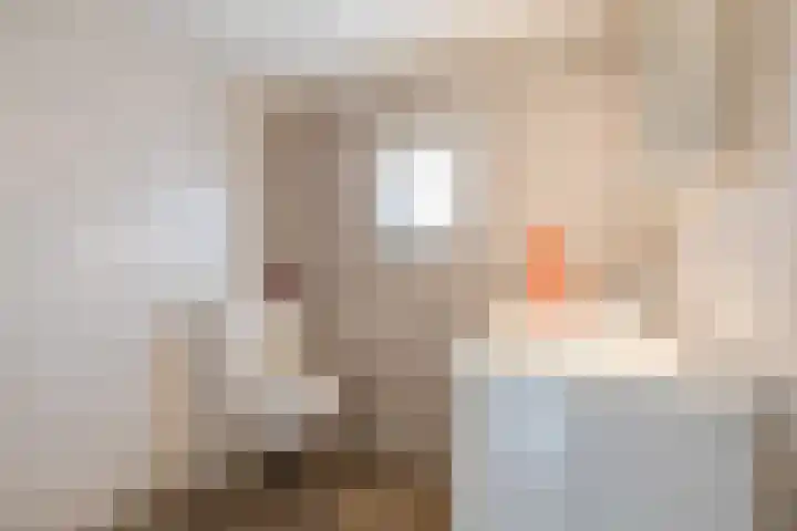 Ambachtsweg 1 Meppel thumbnail 20
