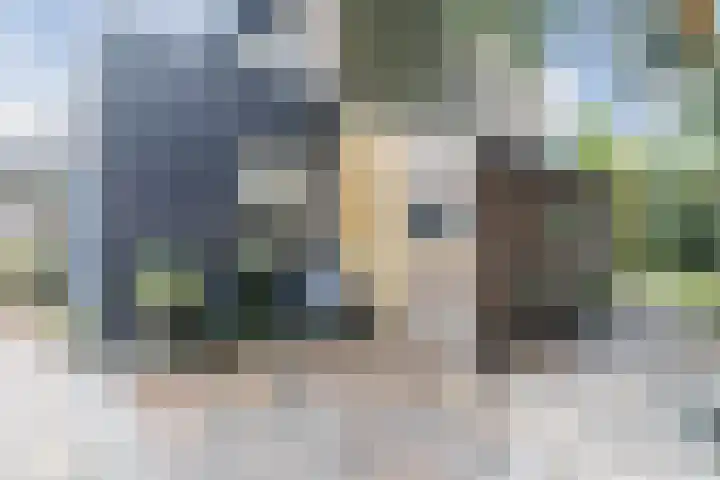 Ambachtsweg 1 Meppel thumbnail 30