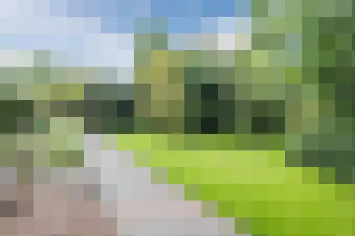 Ambachtsweg 1 Meppel thumbnail 32