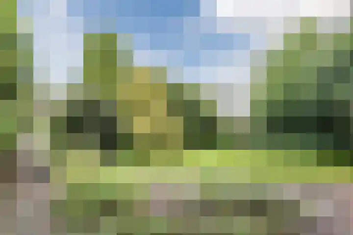 Ambachtsweg 1 Meppel thumbnail 33