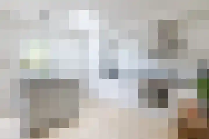 Ambachtsweg 1 Meppel thumbnail 7