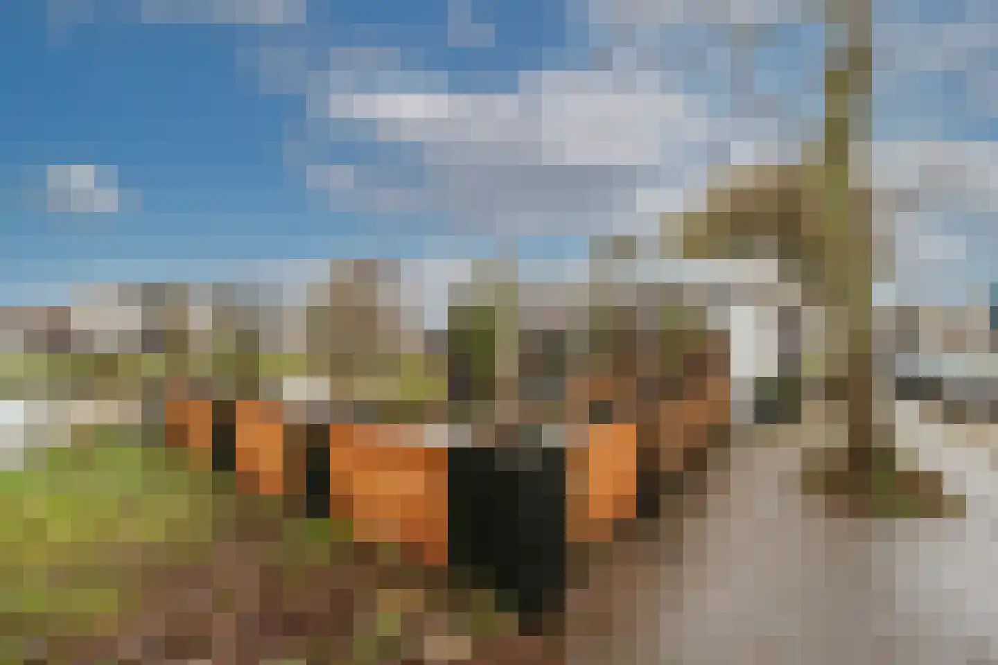 Ambachtsweg 110 Velserbroek thumbnail 24
