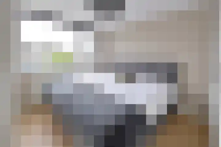 Ambachtsweg 112 Huizen thumbnail 10