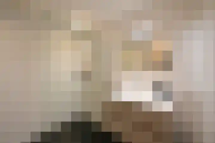 Ambachtsweg 112 Huizen thumbnail 12