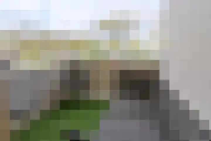 Ambachtsweg 112 Huizen thumbnail 15
