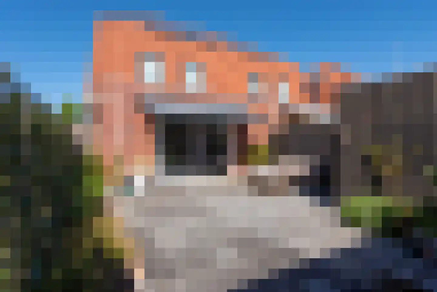Ambachtsweg 16 Heiloo thumbnail 40
