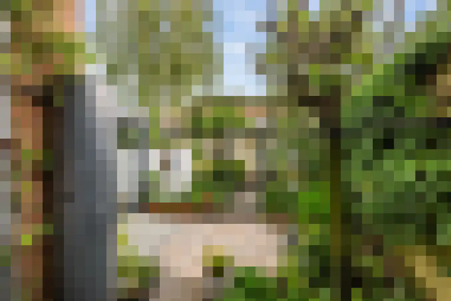Ambachtsweg 3 Wateringen thumbnail 12