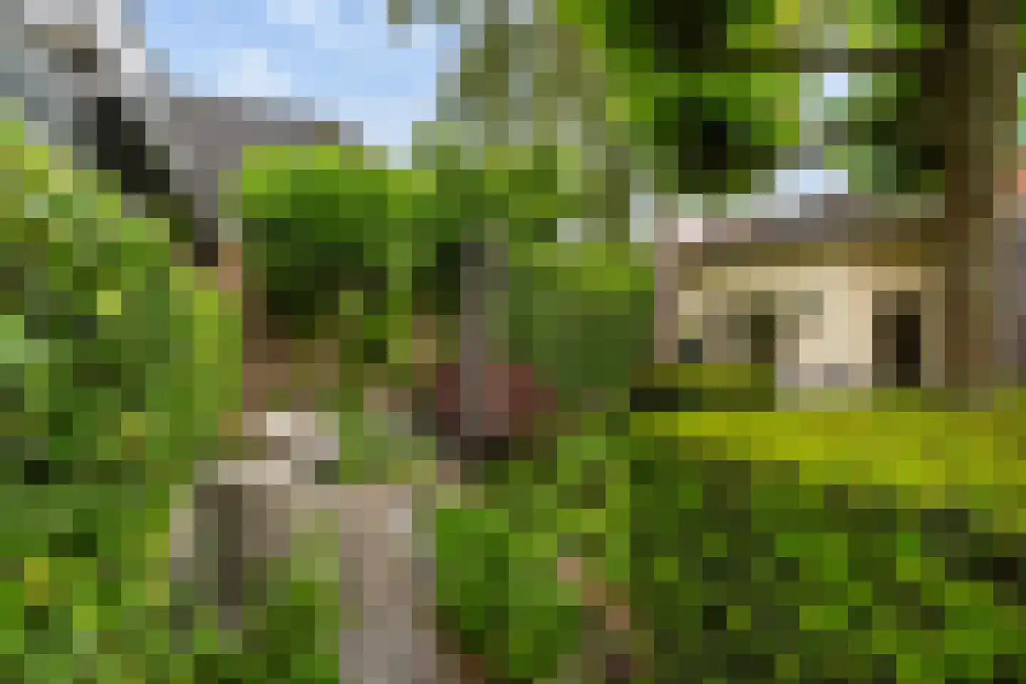 Ambachtsweg 3 Wateringen thumbnail 17