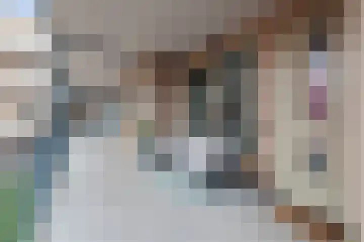 Ambachtsweg 30 Velserbroek thumbnail 39
