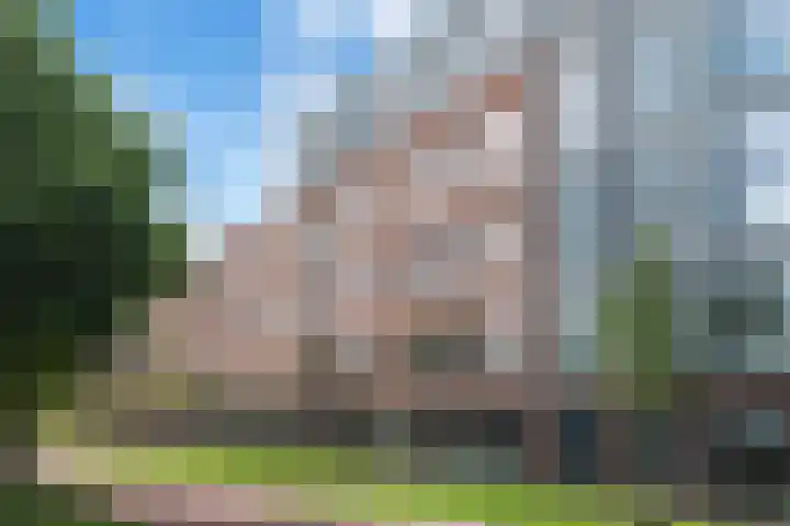 Ambachtsweg 30 Velserbroek thumbnail 6