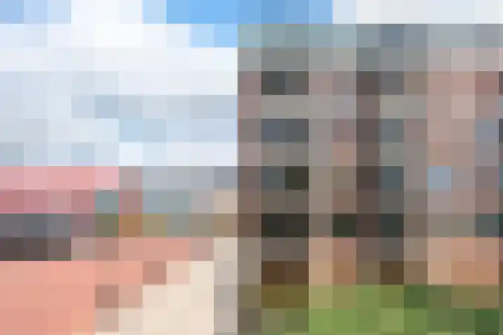 Ambachtsweg 30 Velserbroek thumbnail 8