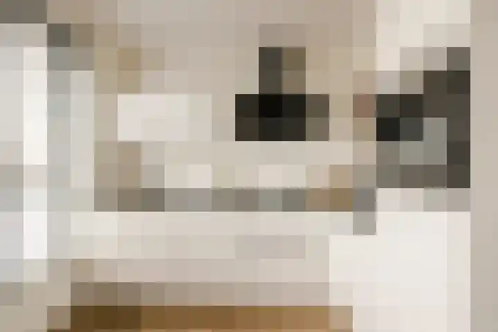 Ambachtsweg 32 Velserbroek thumbnail 4