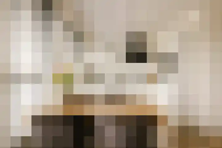 Ambachtsweg 32 Velserbroek thumbnail 7