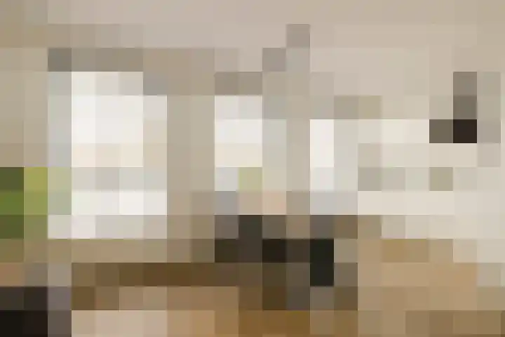Ambachtsweg 32 Velserbroek thumbnail 8