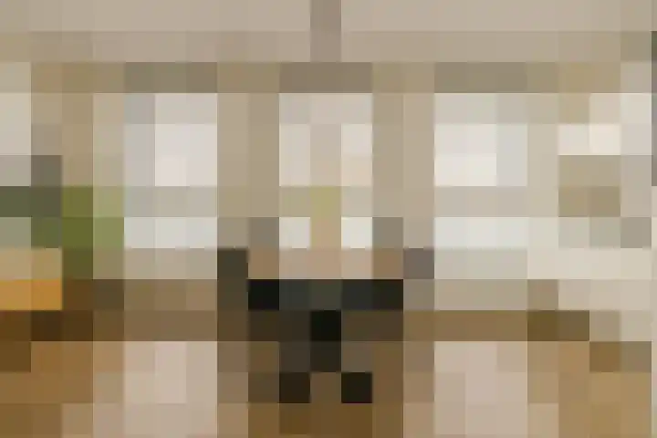 Ambachtsweg 32 Velserbroek thumbnail 9