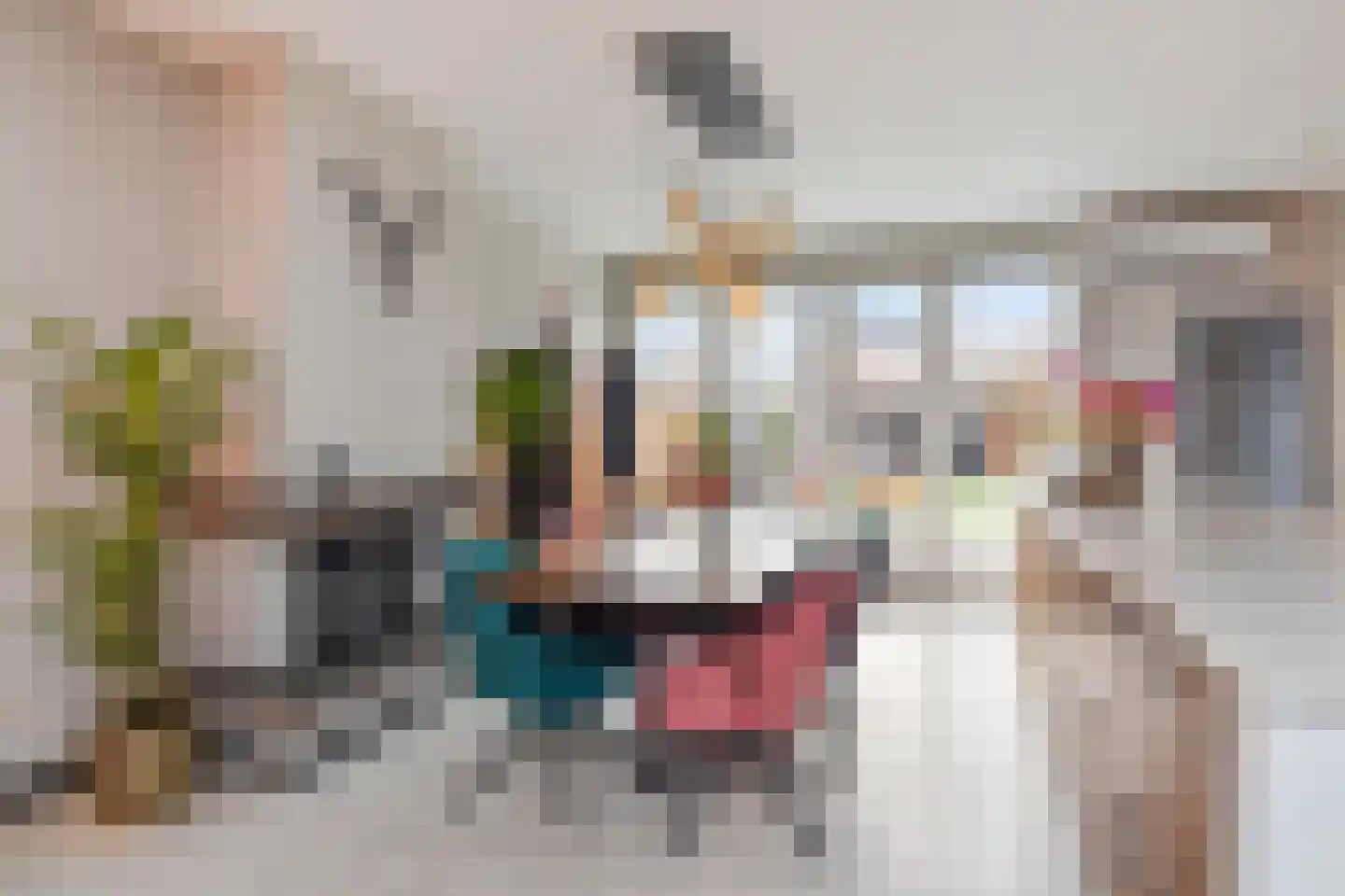 Ambachtsweg 40 Wateringen thumbnail 17
